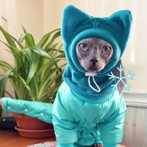 Cat clothes australia online