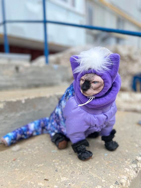 ふりふ 着物 from cats Amazon.com : Kotomoda Cat's T-Shirt Lilac sculls for Sphynx