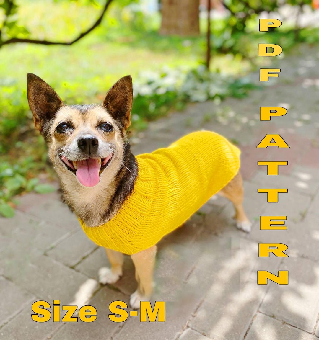 Petit Chien Modele Tricot Pull Chat Gratuit Modèle De Pull Pour