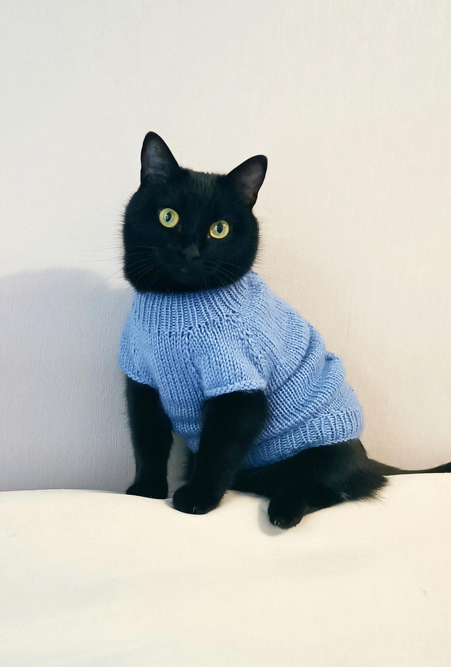 FREE CAT SWEATER PATTERN PDF visual data 7