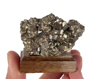 Pyrite on Wooden Base,Peru