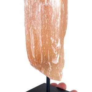 Op de afbeelding: Een ruw, oranje selenietkristal specimen, gemonteerd op een zwarte metalen standaard. Het kristal heeft een vezelachtige textuur en een natuurlijke, ongepolijste uitstraling. De standaard heeft een vierkante basis en een dunne, verticale steun.