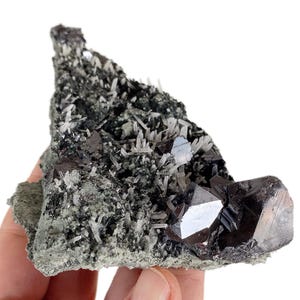 ブルガリア、ロドピ山脈産の閃亜鉛鉱、方鉛鉱、石英、緑泥石標本