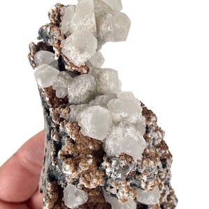 Può includere: Un esemplare di minerale naturale con gruppi di cristalli bianchi traslucidi su una matrice di roccia grigio scuro e marrone. I cristalli hanno una forma geometrica e l'aspetto generale è ruvido e strutturato.