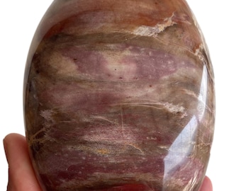 Polished Petrified Wood Freeform from Madagascar