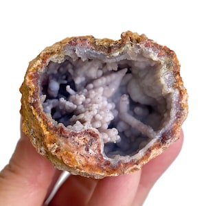 以下が含まれることがあります： 粗い質感の茶色がかったオレンジ色の外殻を持つ球状のジオード。内部の空洞は、小さな球状のクラスターや指のような細長い鍾乳石に似た、淡いラベンダー色のブドウ状の結晶構造で覆われています。