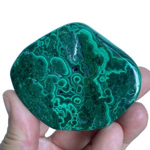 Può includere: Una pietra di malachite lucidata caratterizzata da un colore verde intenso e vibrante con intricati motivi a bande concentriche vorticose. La superficie presenta una finitura liscia e lucida con variazioni naturali di tonalità, che spaziano dal verde bosco scuro alle sfumature smeraldo più chiare su tutta la forma organica e arrotondata della pietra.