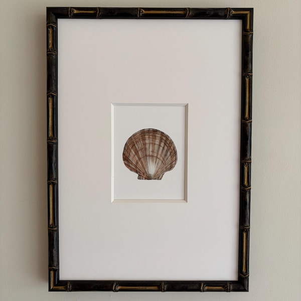 Framed Pink Shell Print A4: Giclee Antique Reproduction, Bamboo Style Frame