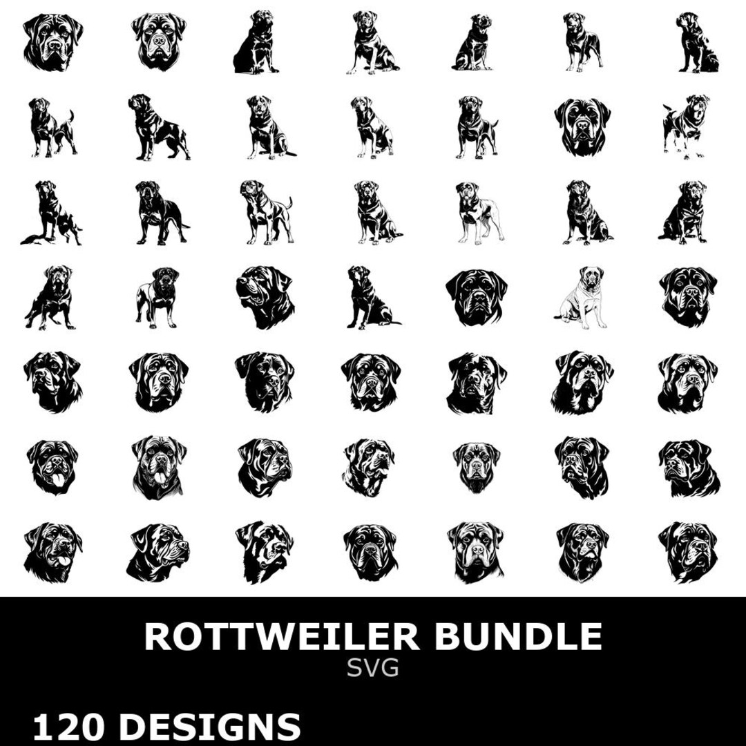 Rottweiler Digital Clipart Bundle Svg for Cricut Cutting Files Dog Art ...