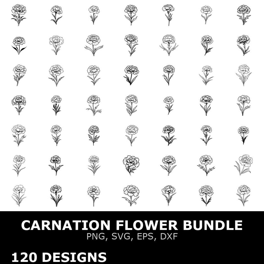 Carnation Flower Digital Clipart Bundle Svg Png Eps Dxf for Cricut ...