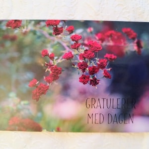 HAPPY BIRTHDAY Norwegian Card - Red roses with the words Gratulerer med Dagen - Nordic greeting Postcards
