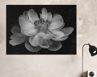 Grayscale Peony Flower Photography Print | Botanical Wall Art Poster Home Decor (Semi-Glossy)