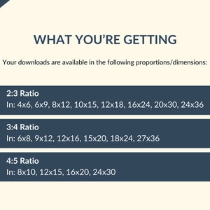 May include: A chart showing different aspect ratios and their corresponding dimensions in inches. The chart is titled "What You're Getting" and includes the following aspect ratios: 2:3, 3:4, and 4:5.