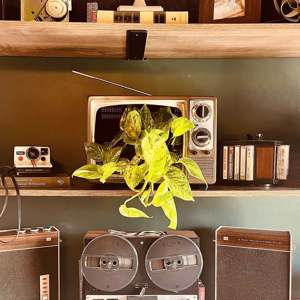 1980 RCA Television/Golden Pothos