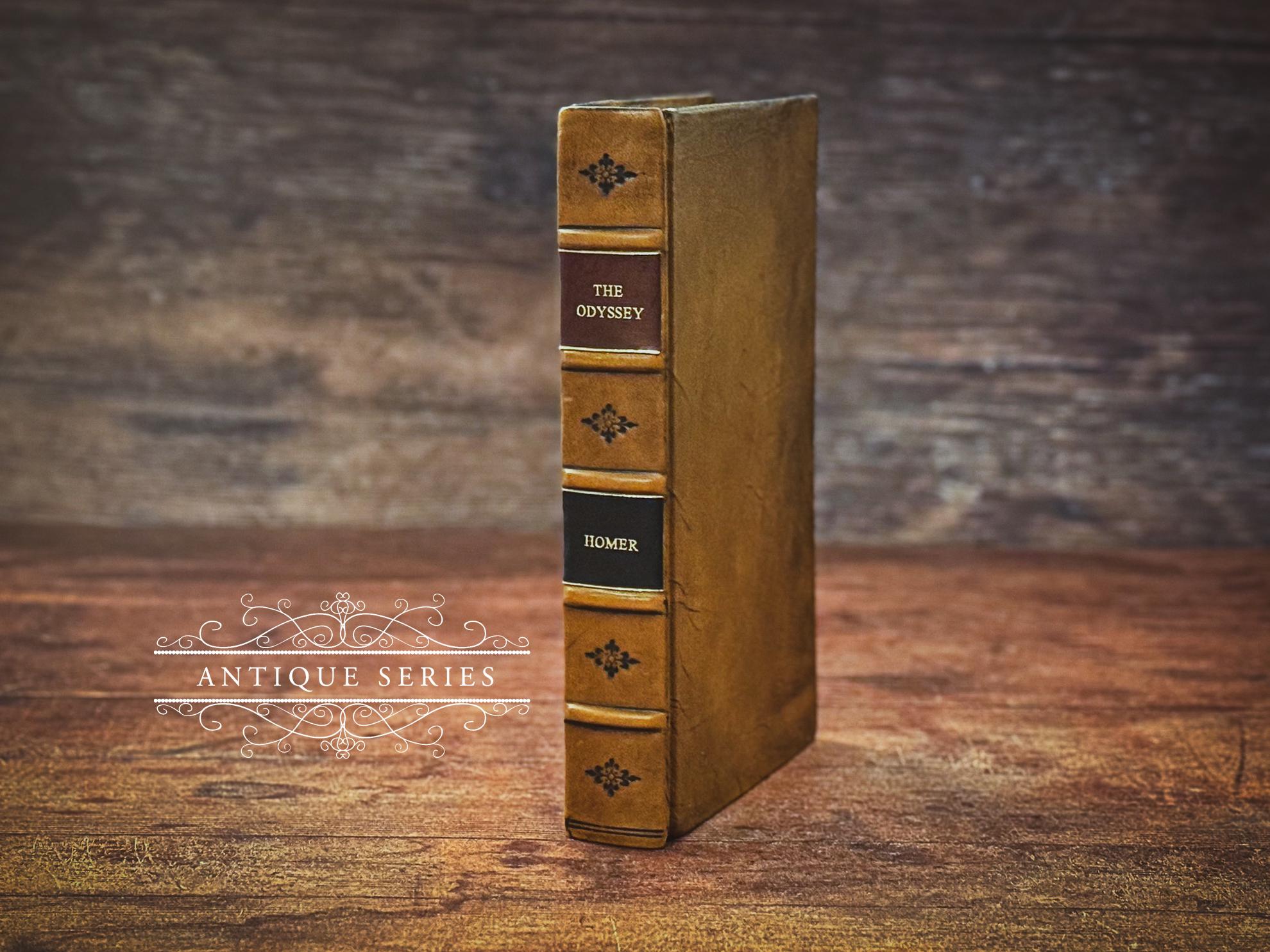 Odyssey Book Set - Etsy Singapore