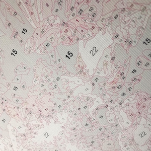 May include: A close-up of a paint-by-numbers canvas with a detailed outline of a landscape. The numbers are visible in pink and range from 1 to 23. The canvas is white with a textured surface.