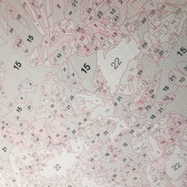 May include: A close-up of a paint-by-numbers canvas with a detailed outline of a landscape. The numbers are visible in pink and range from 1 to 23. The canvas is white with a textured surface.