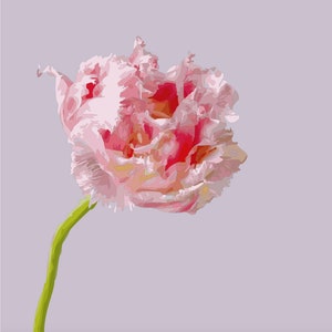 May include: A digital illustration of a pink and red tulip with textured petals. The flower has a green stem and is set against a pale purple background. The tulip is in full bloom, displaying its detailed structure.