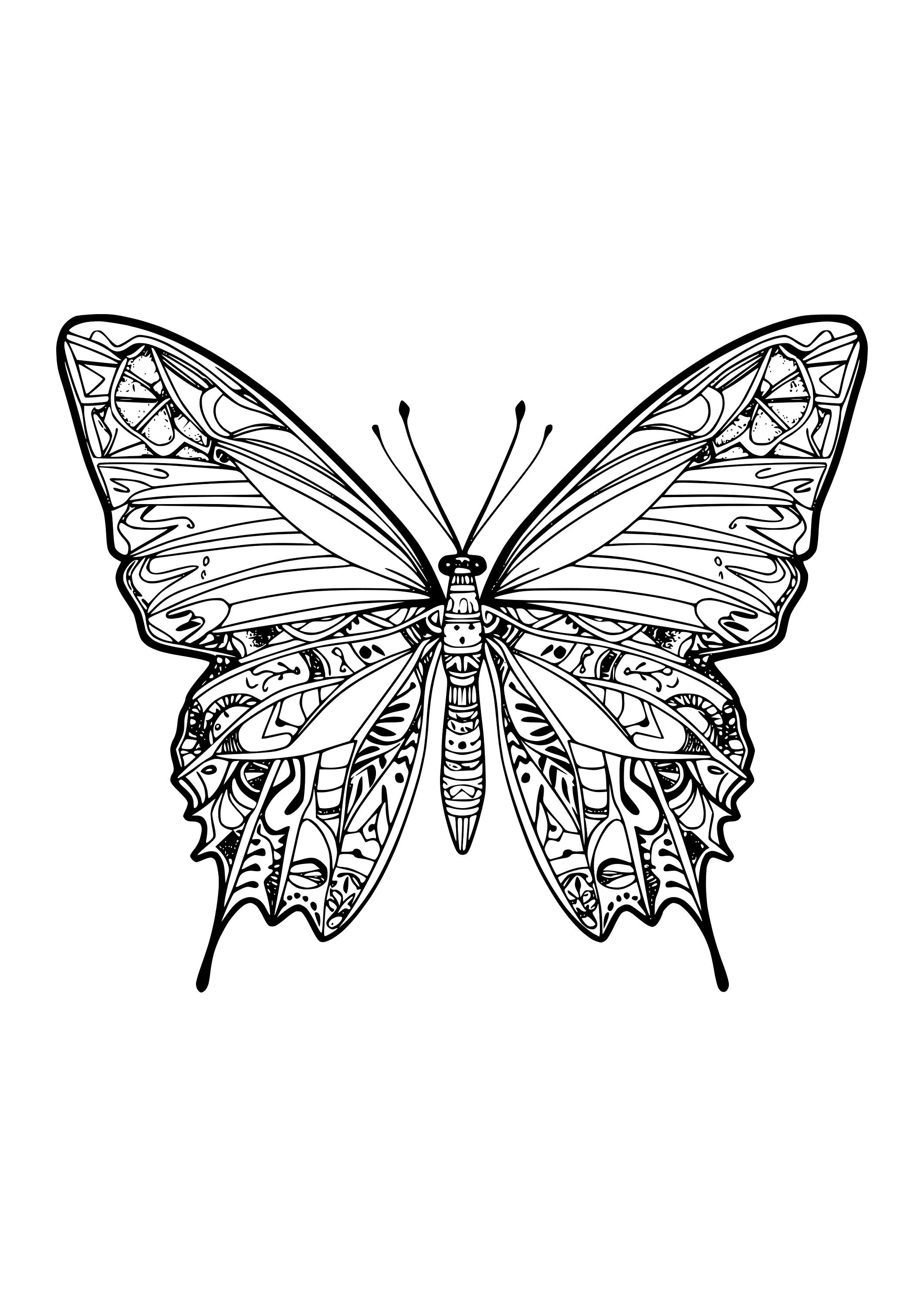 Colouring Pages for Adults Adult Colouring Pages Spirit Animal Mandala ...