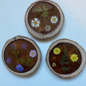 Sottobicchieri in legno