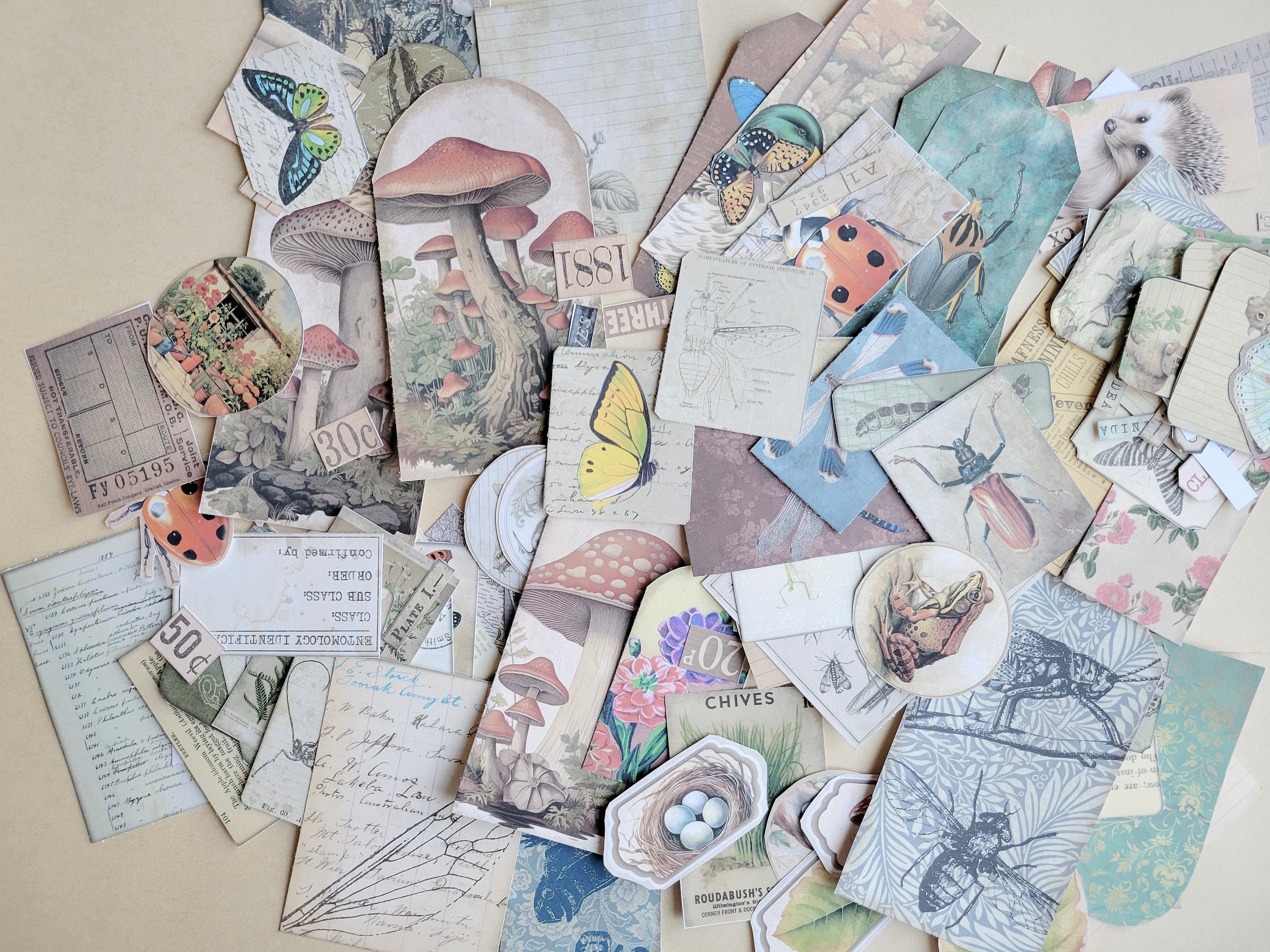 Scrapbook Ephemera Mystery Grab Bag Vintage Style Etymology, Gardening