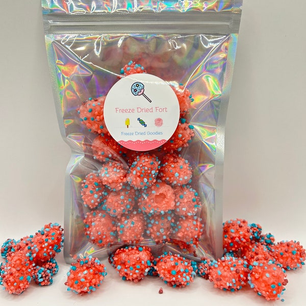 BERRY GEEK GUMMIES - Freeze Dried Geek Gummies - freeze dried candy - freeze dried - space candy