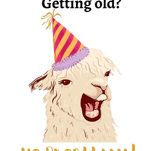 Funny Llama Birthday Card Printable, Instant Download, Funny Animal ...