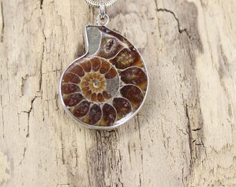 May include: A silver chain necklace with a brown and gold ammonite fossil pendant. The pendant is a spiral shape with a detailed, intricate pattern.