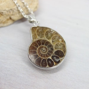 Ammonite Fossil Sea Shell Necklace Silver Fossil Mens Jewelry Ammonite Pendant Fossil Ammonite Beach Jewelry Ocean Necklace Woman Gift Her
