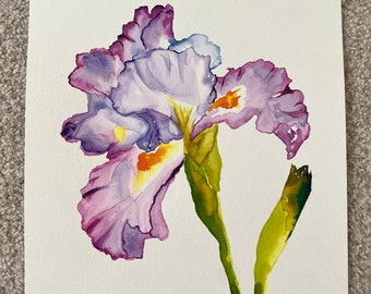 Pintura de íris em aquarela