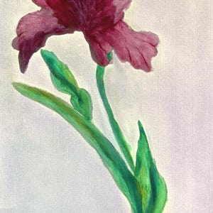 Original Watercolor Iris