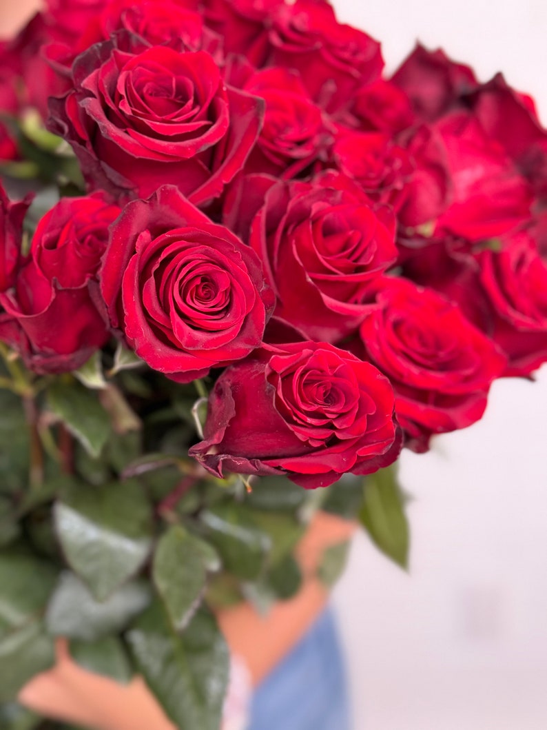 Edgy Red Roses Explorer~ Dark Red Rose by the Package~ DIY Wedding and Event Flowers ...