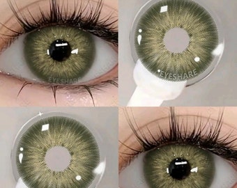 lentilles verte