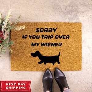 Wiener Doormat, Funny Gift, Dachshund Doormat, Funny Sausage Dog Doormat, Dog Lover Gift, Dog Welcome Mat, Front Door Decor, Dog Welcome Mat