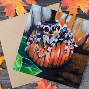 Peut inclure: Carte de vœux avec une peinture d'une araignée sauteuse sur une citrouille orange. L'araignée a de grands yeux et des pattes rayées. La carte est accompagnée d'une enveloppe marron, avec des feuilles d'automne en arrière-plan.