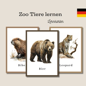 Karteikarten, Tierlernen, Montessori, pädagogisch, Karten, Bildung, Kartenspiel, Schule, Karte, Spiel, Lehrmaterial, ausdruckbar, Erinnerung
