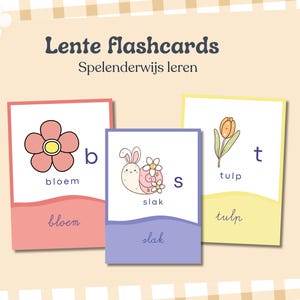 Könnte beinhalten: Drei farbenfrohe Lernkarten mit Frühlingsmotiven. Die Karten zeigen eine Blume, eine Schnecke mit einer Blume und eine Tulpe. Jede Karte hat ein niederländisches Wort und den dazugehörigen Buchstaben. Der Text "Lente flashcards" steht oben.
