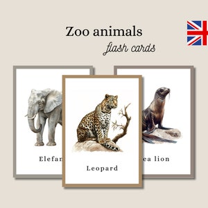 Flash-kaarten, dieren leren, montessori, educatief, kaarten, kaart, spel, lesmateriaal, educatief, kaartspel, school, afdrukbaar, geheugen