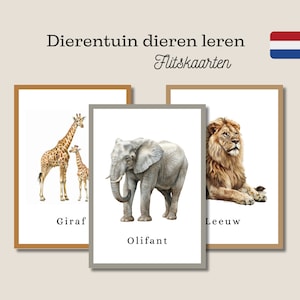 flitskaarten, kaarten, kaart, spel, lesmateriaal, dieren leren, onderwijs, kaartenspel, school, printbaar, memorie, montessori, educatief