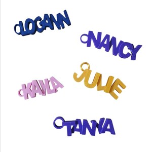 Peut inclure: Cinq porte-clés avec des prénoms imprimés en 3D de différentes couleurs. Le bleu indique Logan, le violet Nancy, le rose clair Kayla, le doré Julie et le bleu Tanya. Chaque pièce comporte un anneau circulaire pour les clés.