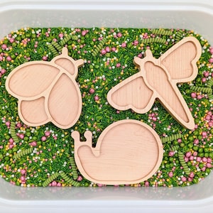 May include: Three wooden cutout shapes of a bee, dragonfly, and snail in a sensory bin filled with green and pink sprinkles.