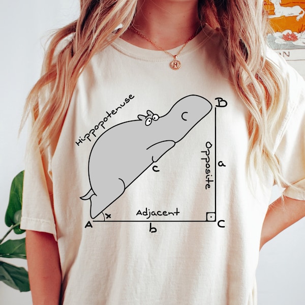 Funny Math Shirt, Back To School Tee, Funny Hippopotenuse Shirt, Math Teachers Shirt, Teacher Shirt, Math Teacher Gift, First Day Of School
