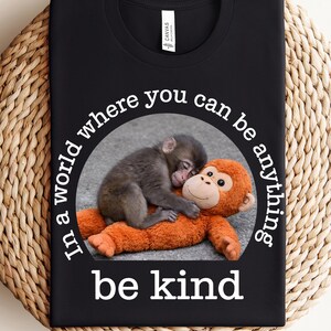 May include: Black t-shirt with a circular graphic of a monkey hugging an orange soft toy. The text "In a world where you can be anything, be kind" is printed around the graphic in white.
