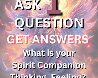 Pregúntale a tu compañero espiritual. 1 Pregunta o envía un mensaje al espíritu.