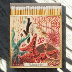 May include: A decorative matchbox featuring a vintage illustration of The Great Barrier Reef. The box has a gold border and contains numerous wooden matches with white tips. The artwork includes various coral and sea life in shades of red, green, and beige.