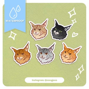 Maine coon | Autocollants imperméables en vinyle