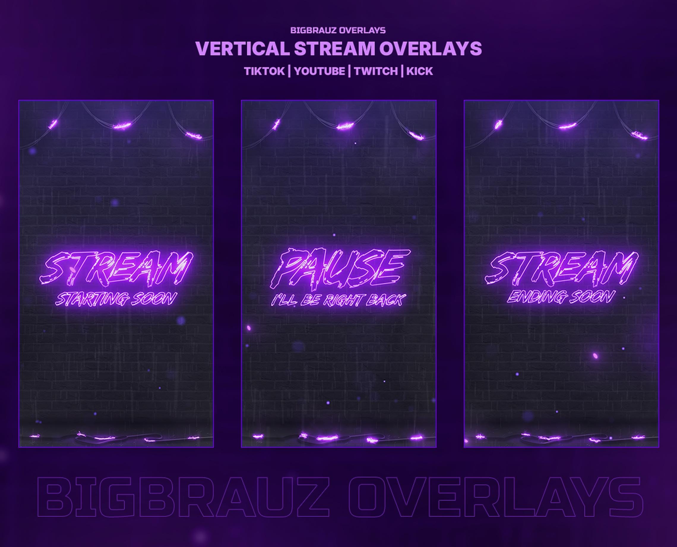 BigbrauzOverlays - Etsy