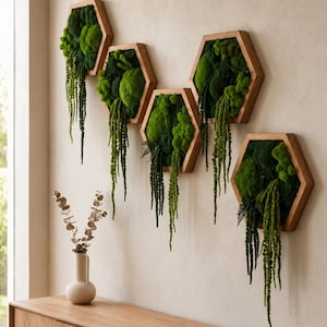 Puede incluir: Cuatro marcos hexagonales de madera montados en una pared, cada uno con musgo verde preservado y follaje colgante. El musgo muestra varios tonos de verde vibrante, con zarcillos largos y delgados que cuelgan de los bordes inferiores.