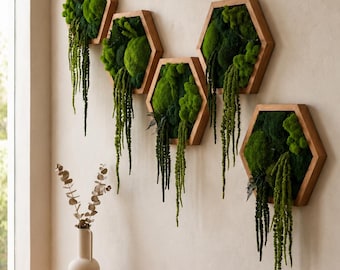 Moss Wall Art Hexagon, Honeycomb Decoration, Moosbild, affordable housewarming gift