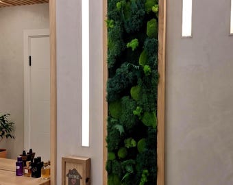 Cuadro de pared Japandi con musgo preservado en marco de madera de roble, moosbild mit holz
